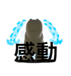CLARISSE2（個別スタンプ：5）