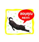 R-teenoi（個別スタンプ：3）