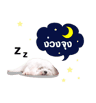 R-teenoi（個別スタンプ：4）