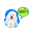 R-teenoi（個別スタンプ：6）