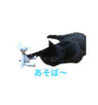 Black cat Nyankichi（個別スタンプ：2）