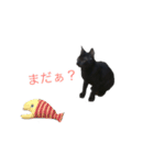 Black cat Nyankichi（個別スタンプ：3）