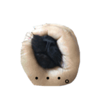 Black cat Nyankichi（個別スタンプ：10）