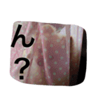 ポメラニアンずぅず2（個別スタンプ：23）