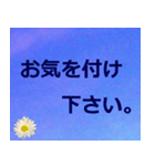 敬語、丁寧語で挨拶2（個別スタンプ：16）