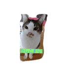 everyday Minto（個別スタンプ：2）