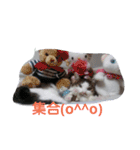 everyday Minto（個別スタンプ：7）