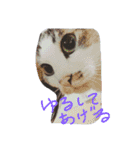 everyday Minto（個別スタンプ：18）