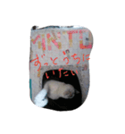 everyday Minto（個別スタンプ：25）