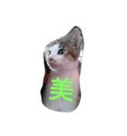 everyday Minto（個別スタンプ：31）