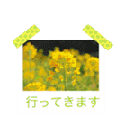 花の写真に言葉をそえて（個別スタンプ：8）