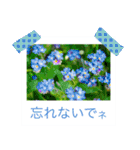 花の写真に言葉をそえて（個別スタンプ：10）
