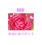 花の写真に言葉をそえて（個別スタンプ：12）