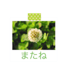 花の写真に言葉をそえて（個別スタンプ：16）