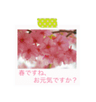 花の写真に言葉をそえて（個別スタンプ：17）