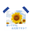花の写真に言葉をそえて（個別スタンプ：18）