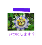 花の写真に言葉をそえて（個別スタンプ：21）