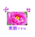 花の写真に言葉をそえて（個別スタンプ：23）