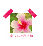 花の写真に言葉をそえて（個別スタンプ：27）