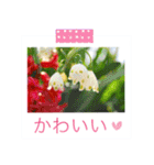 花の写真に言葉をそえて（個別スタンプ：28）