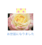 花の写真に言葉をそえて（個別スタンプ：29）