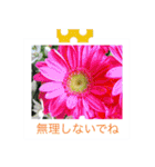 花の写真に言葉をそえて（個別スタンプ：31）