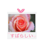 花の写真に言葉をそえて（個別スタンプ：37）