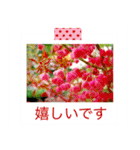 花の写真に言葉をそえて（個別スタンプ：38）