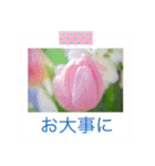 花の写真に言葉をそえて（個別スタンプ：40）