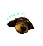 ナルです‼︎（個別スタンプ：1）