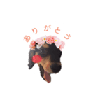 ナルです‼︎（個別スタンプ：5）