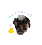 ナルです‼︎（個別スタンプ：8）