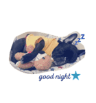 フレンチブルドック*（個別スタンプ：3）