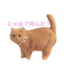 ツヨシの優しさ（個別スタンプ：2）