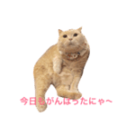 ツヨシの優しさ（個別スタンプ：7）