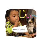 チワワパコの可愛い1日（個別スタンプ：16）