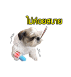 Dog Pig（個別スタンプ：4）