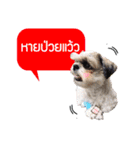 Dog Pig（個別スタンプ：5）