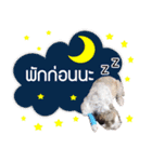 Dog Pig（個別スタンプ：7）