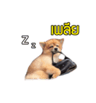 Dog Pig（個別スタンプ：8）