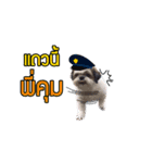 Dog Pig（個別スタンプ：12）