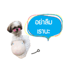 Dog Pig（個別スタンプ：15）