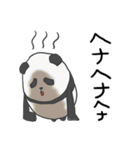 たまごぱんだ（個別スタンプ：28）