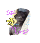 ぐりちゃん3（個別スタンプ：2）