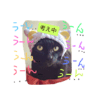 ぐりちゃん3（個別スタンプ：3）