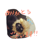 ぐりちゃん3（個別スタンプ：5）