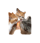 猫達〜（個別スタンプ：3）