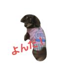 u.maron（個別スタンプ：4）