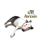 Meay（個別スタンプ：19）