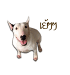 Meay（個別スタンプ：21）